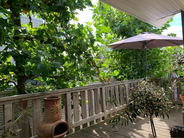 Foto 43 van Dreefplantsoen 14