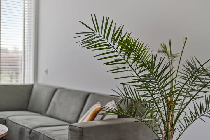 Foto 8 van Numitorhof 70