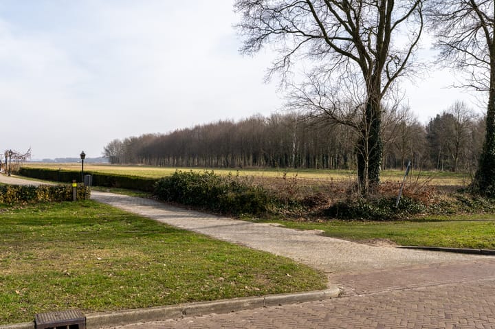 Photo 50 of Molenstraat 13