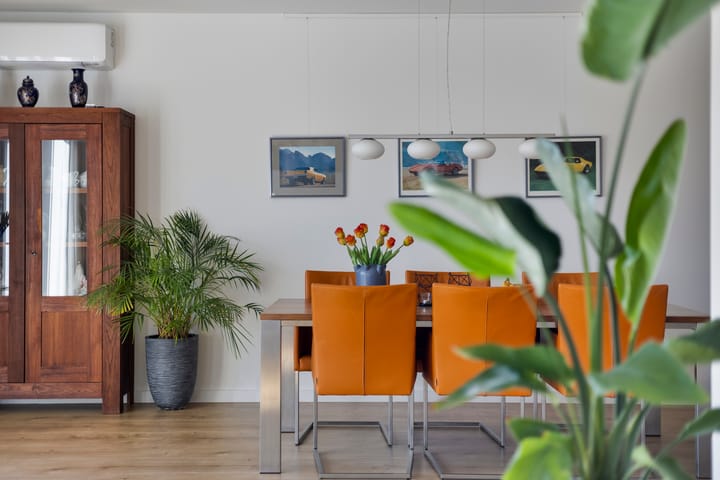 Foto 10 van Haakwal 42