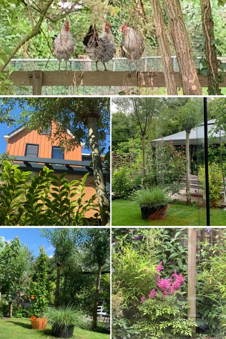 Foto 44 van Voorwillenseweg 157-B