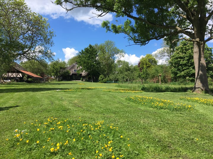 Foto 17 van Binnenpad 59