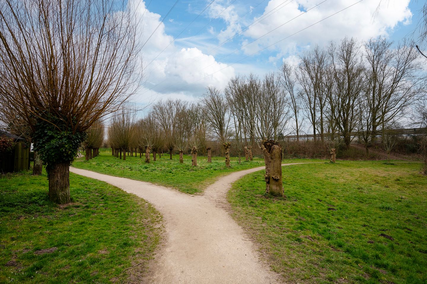 Foto 40 van Fazantenkamp 465