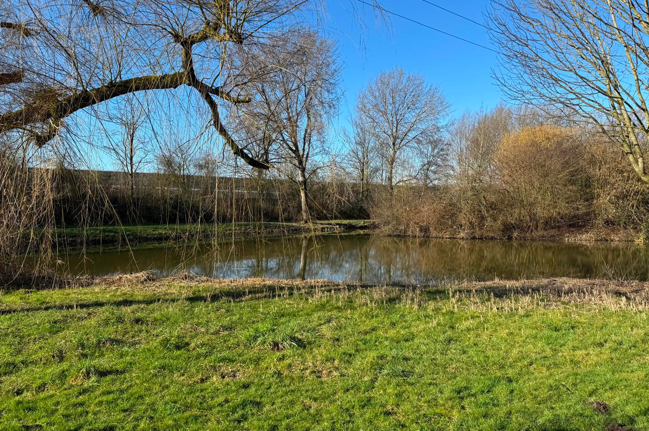 Foto 42 van Fazantenkamp 465