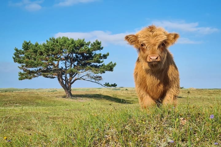 Foto 27 van Jan Verfailleweg 88