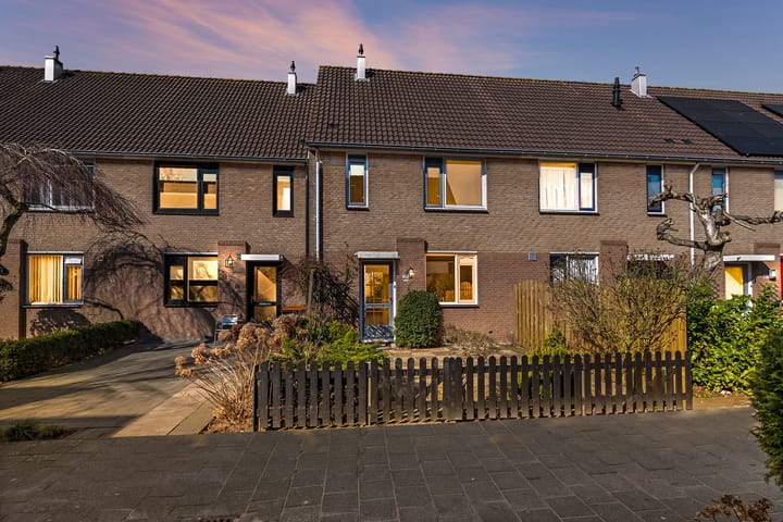 Foto 1 van Leeuwetand 83