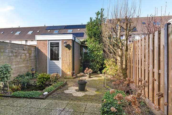 Foto 3 van Leeuwetand 83