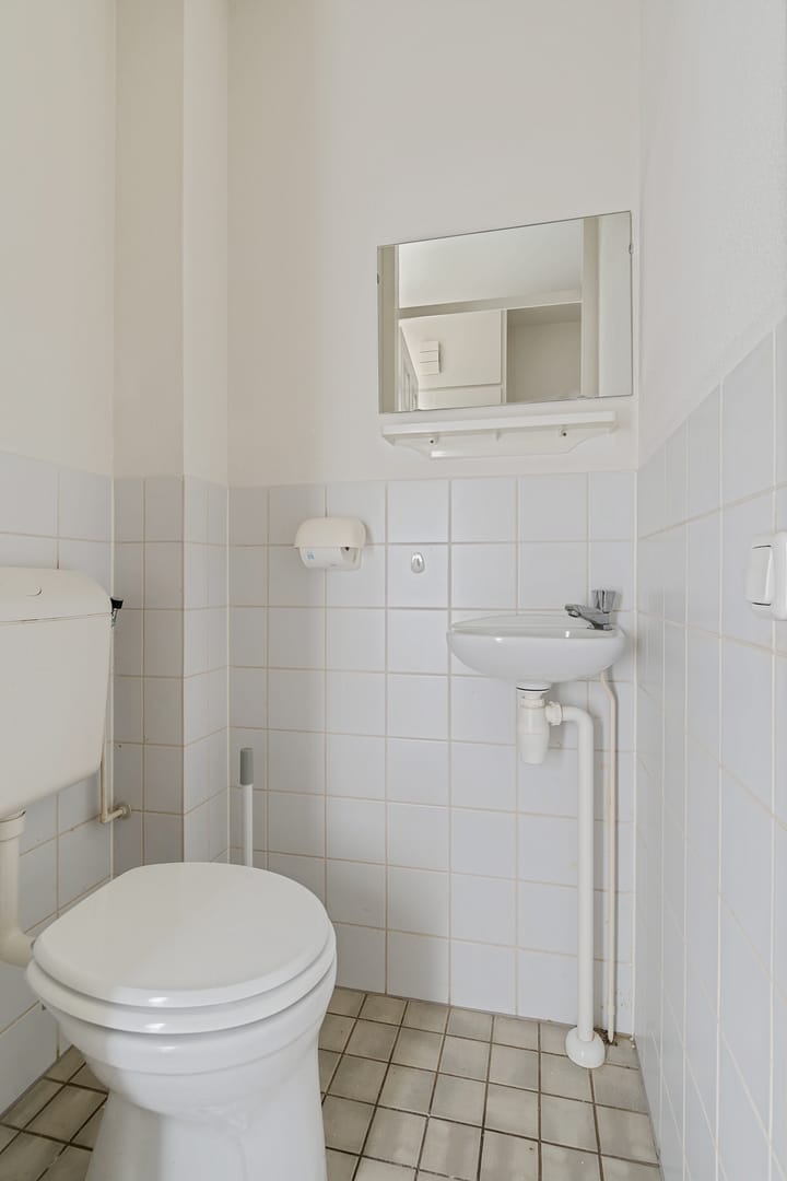 Foto 12 van Leeuwetand 83