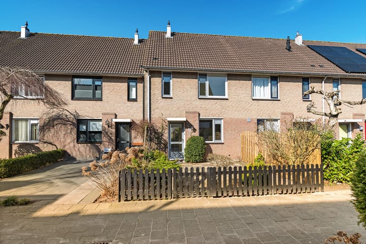 Foto 38 van Leeuwetand 83