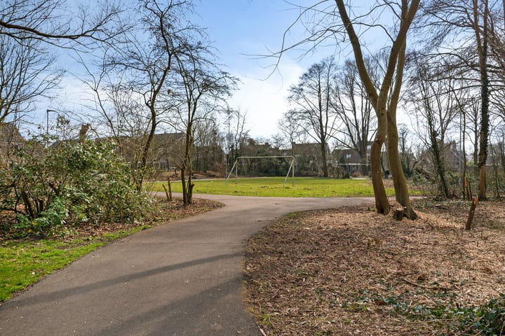 Foto 40 van Leeuwetand 83