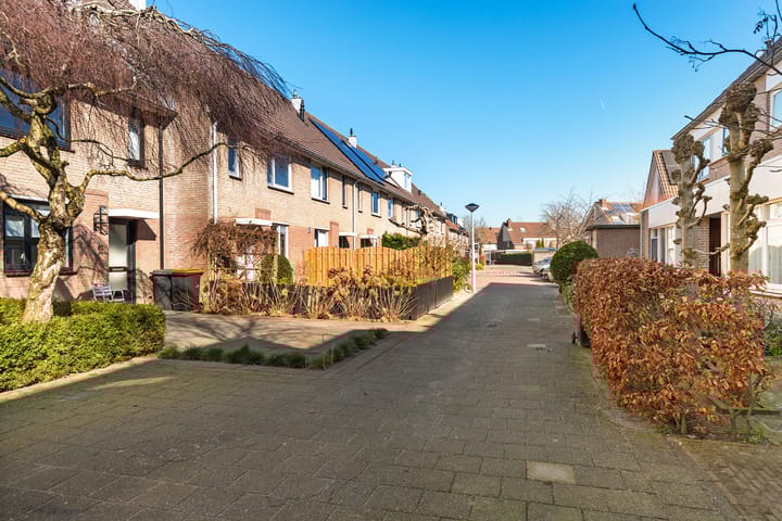 Foto 5 van Leeuwetand 83