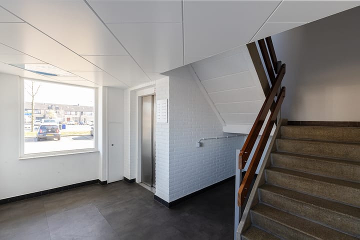 Foto 6 van Gerard Dousingel 62