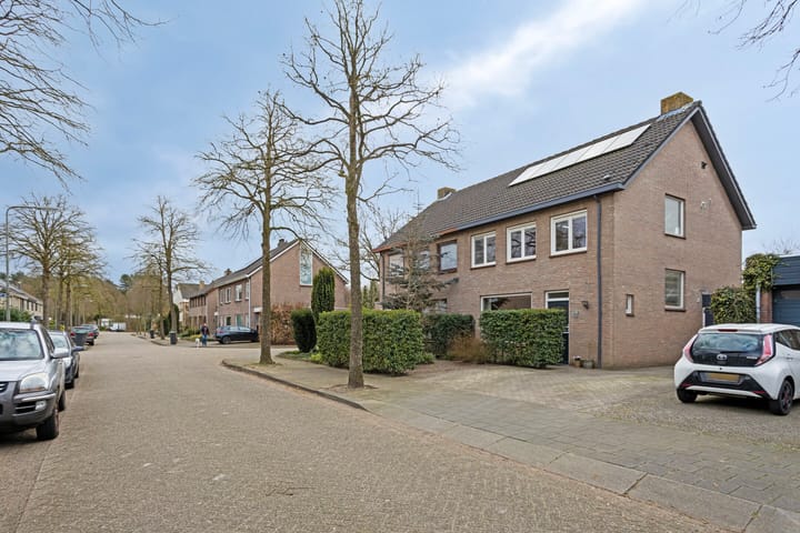 Foto 5 van Wolvespoor 13