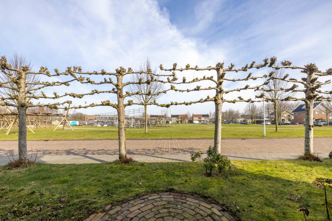 Foto 58 van Tillebuorren 33