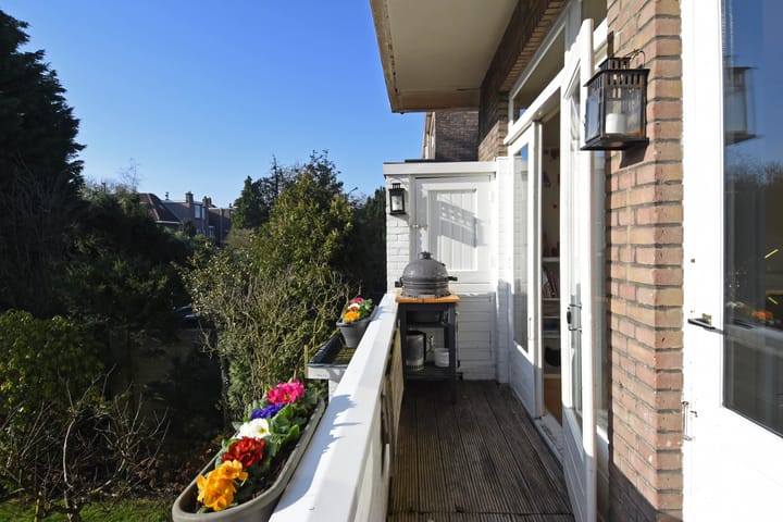 Foto 20 van Roelofsstraat 117