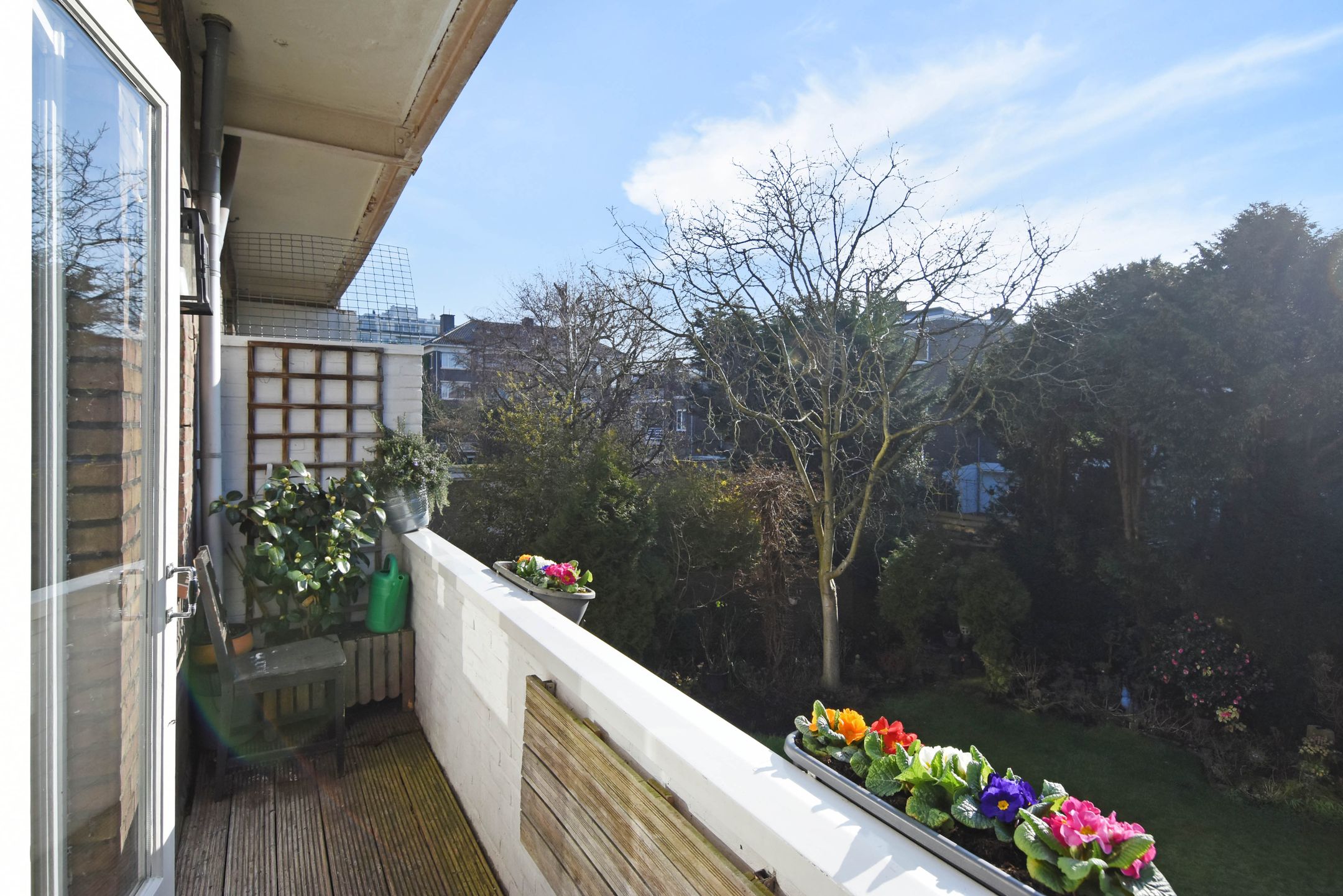 Foto 21 van Roelofsstraat 117