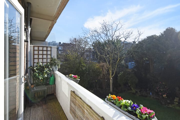 Foto 21 van Roelofsstraat 117