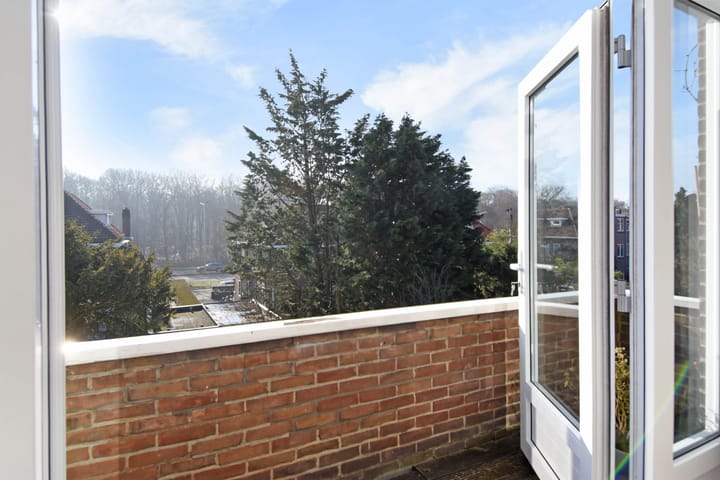 Foto 33 van Roelofsstraat 117