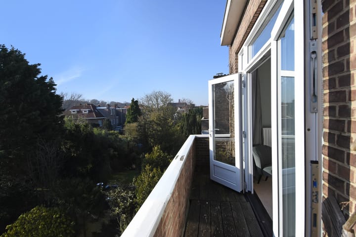 Foto 36 van Roelofsstraat 117