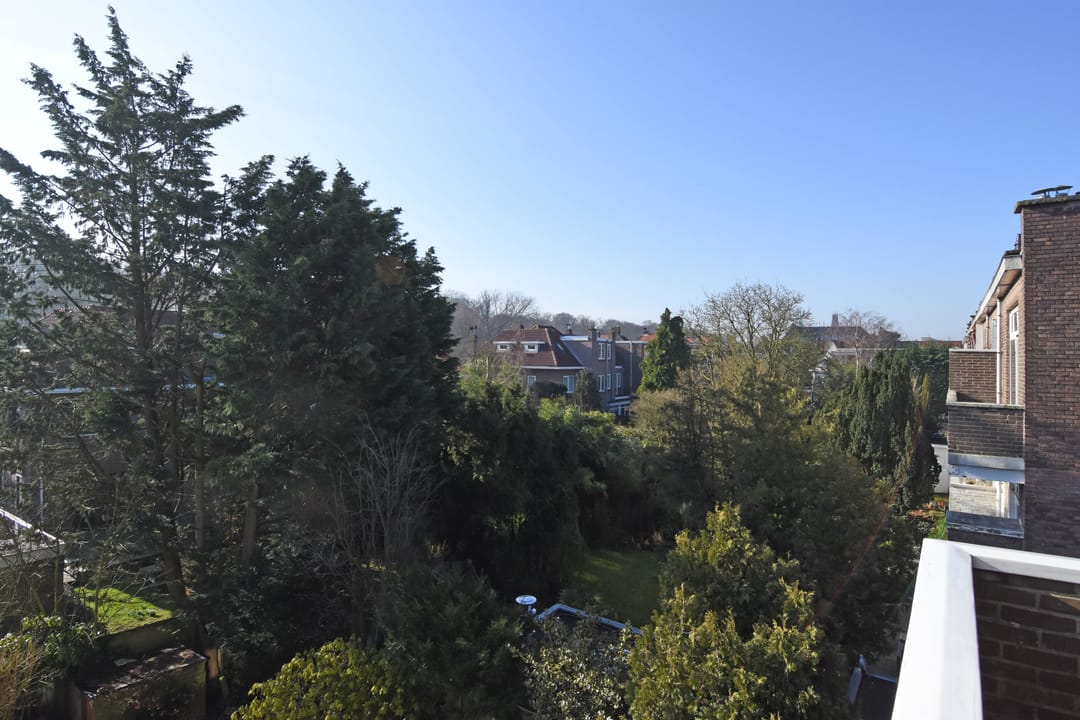 Foto 37 van Roelofsstraat 117