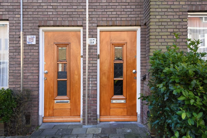 Foto 41 van Roelofsstraat 117