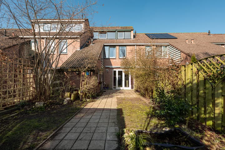 Foto 2 van de Punter 14