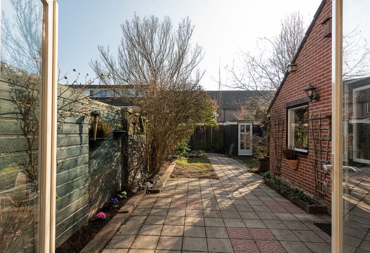 Foto 12 van de Punter 14