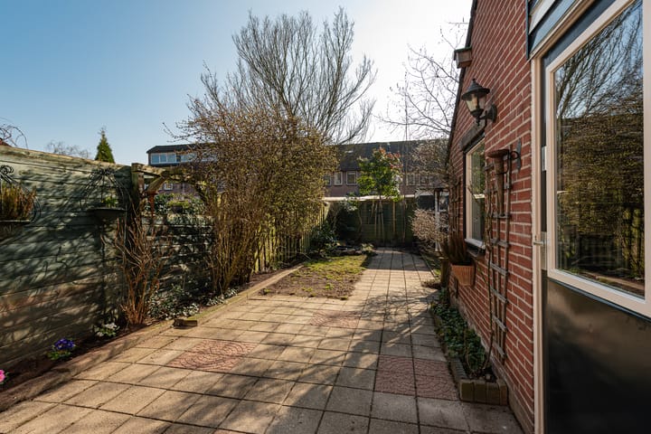 Foto 13 van de Punter 14