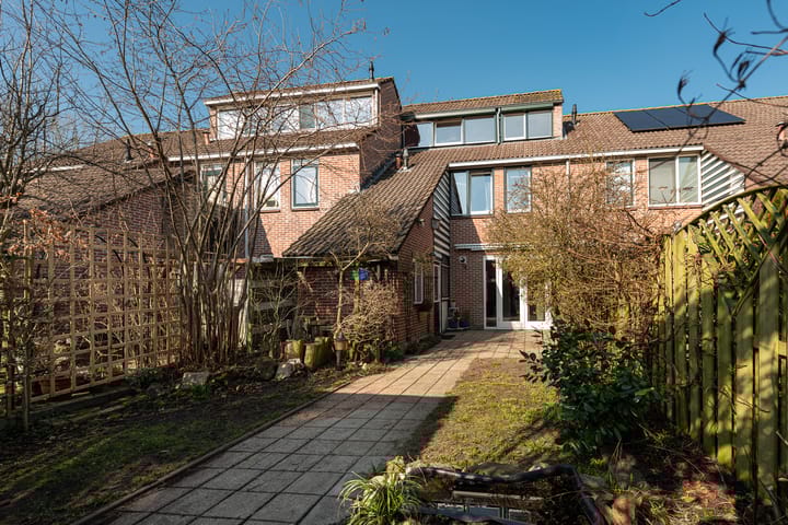 Foto 15 van de Punter 14