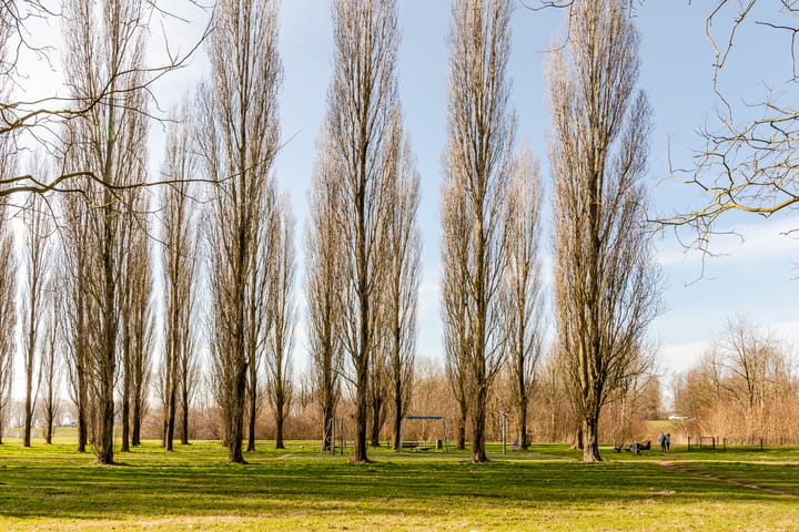 Foto 43 van Allegrostraat 37