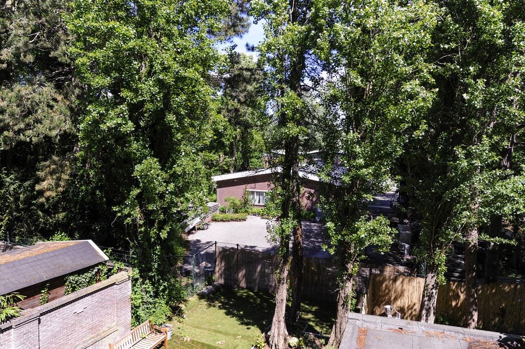 Foto 18 van Bankastraat 135-A