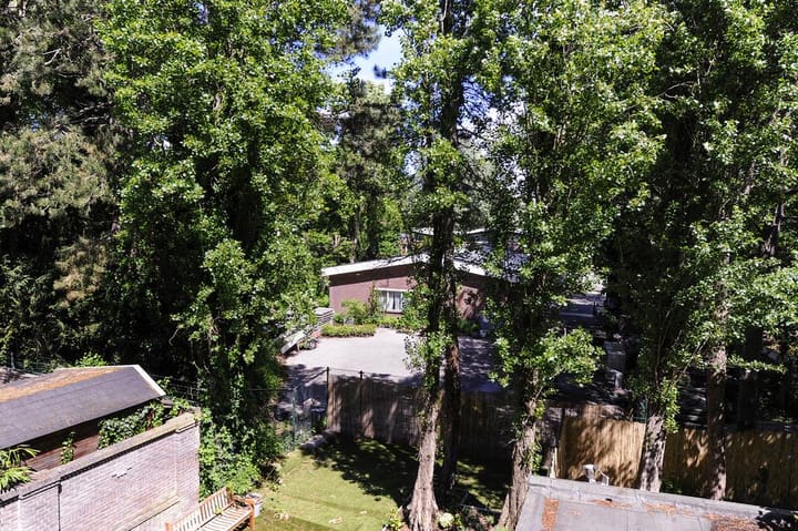 Foto 18 van Bankastraat 135-A