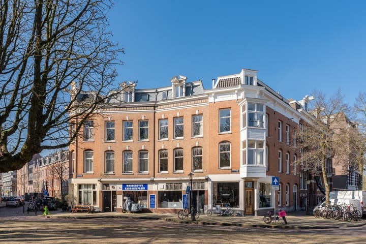 Foto 1 van Kastanjeplein 4-2