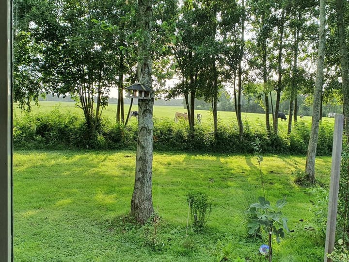 Photo 5 of Eilandseweg 32-C111