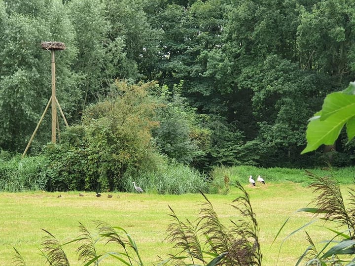 Photo 44 of Eilandseweg 32-C111