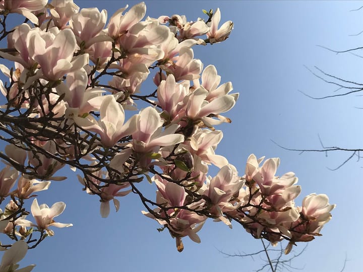 Photo 38 of Emil Noldestraat 9