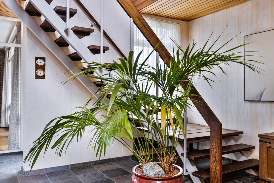 Foto 22 van Molenweg 24