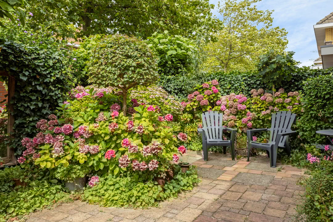 Foto 32 van Hugo de Vrieslaan 34