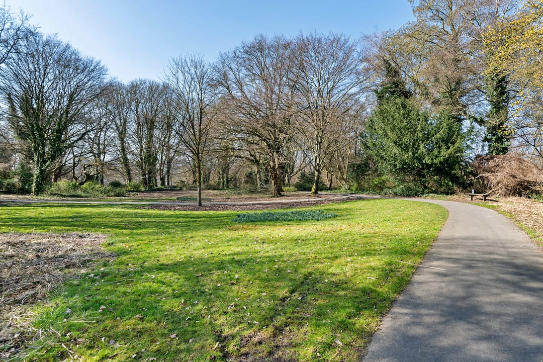 Foto 28 van Stadspark 29