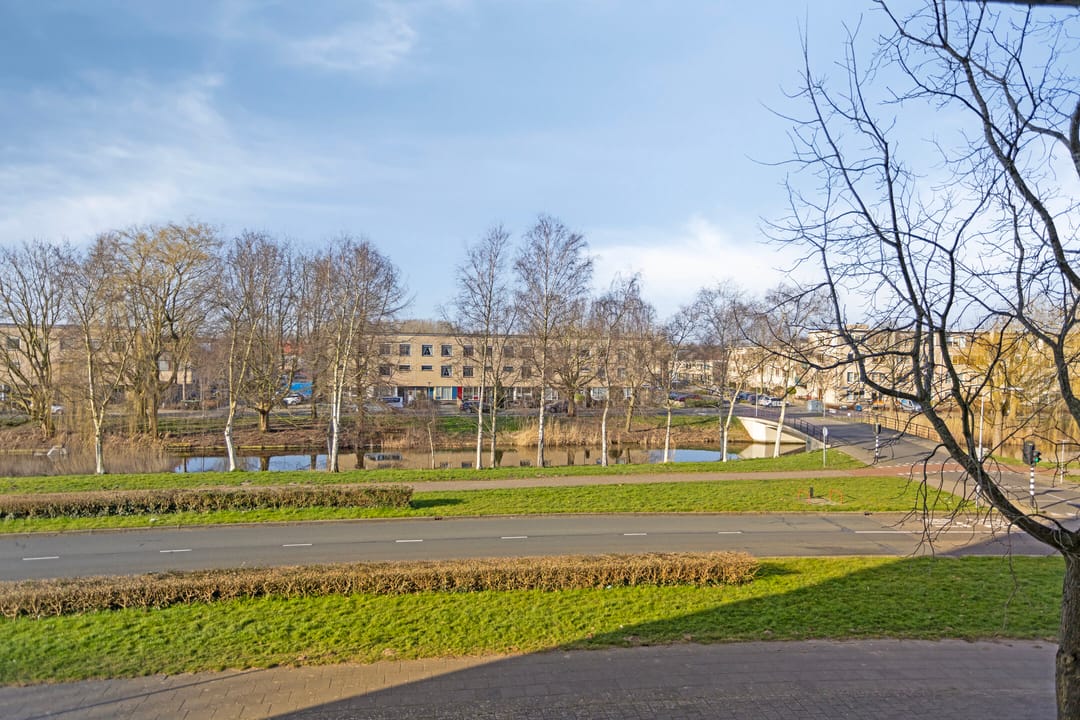 Foto 22 van Salsastraat 133