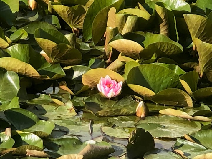 Photo 52 of Eilandseweg 32-C111