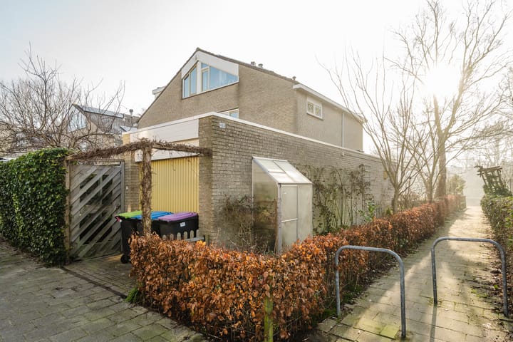 Foto 10 van Kikkerveen 453