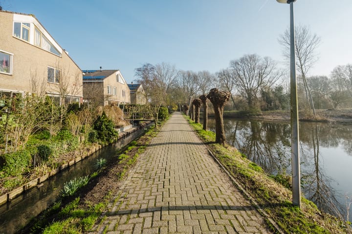 Foto 12 van Kikkerveen 453