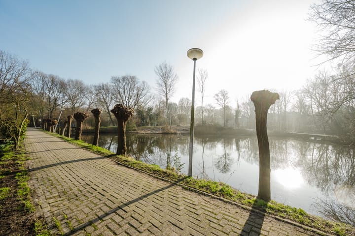 Foto 11 van Kikkerveen 453