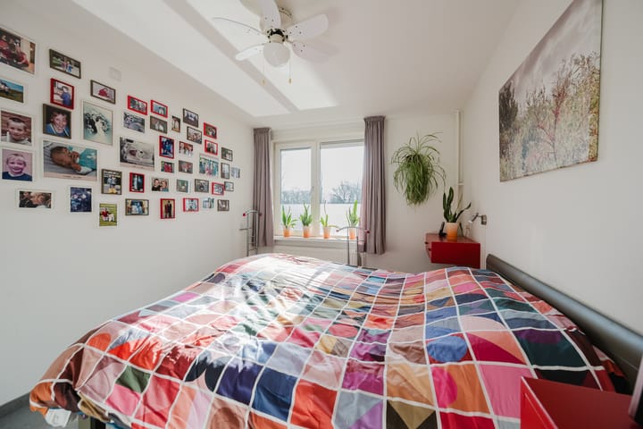 Foto 30 van Kikkerveen 453