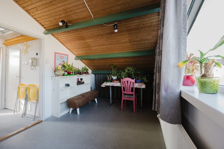 Foto 41 van Kikkerveen 453