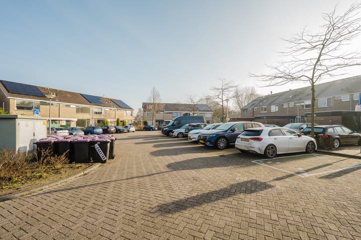 Foto 7 van Kikkerveen 453