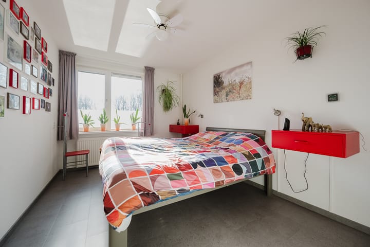 Foto 4 van Kikkerveen 453