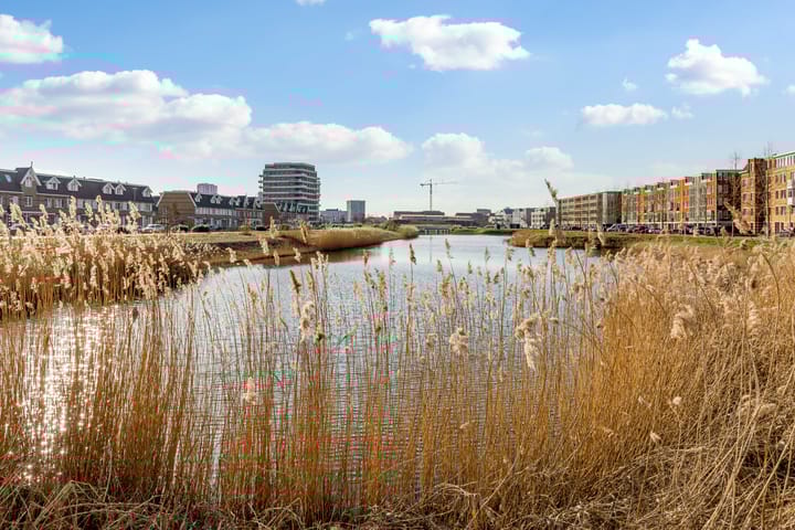 Foto 38 van Frankrijkkade 28