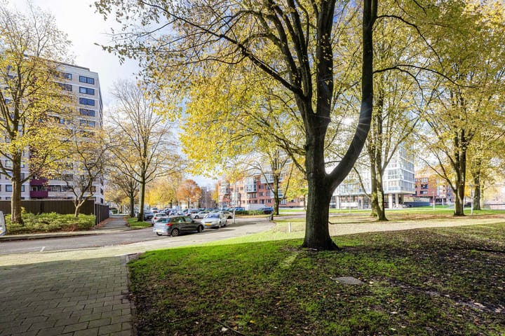 Foto 30 van Vrijzicht 56